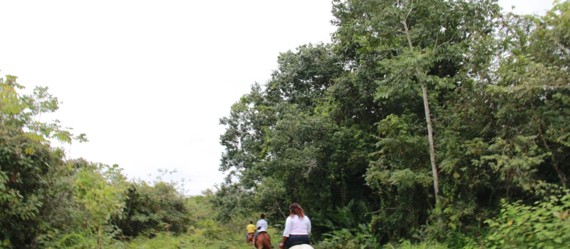 Xunantunich and Horseback Riding from Hopkins